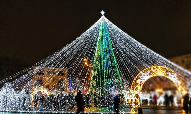 Де купити ялинку у Полтаві?